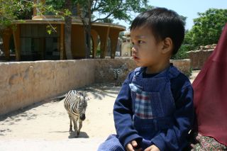 Zoo Iskandariah 054
