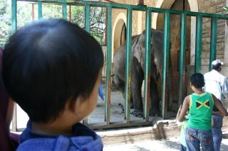 Zoo Iskandariah 084